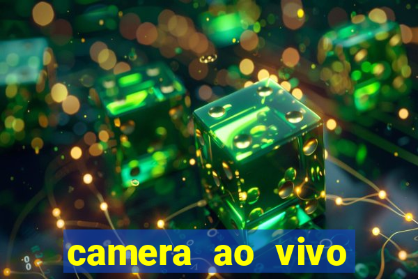 camera ao vivo beto carrero